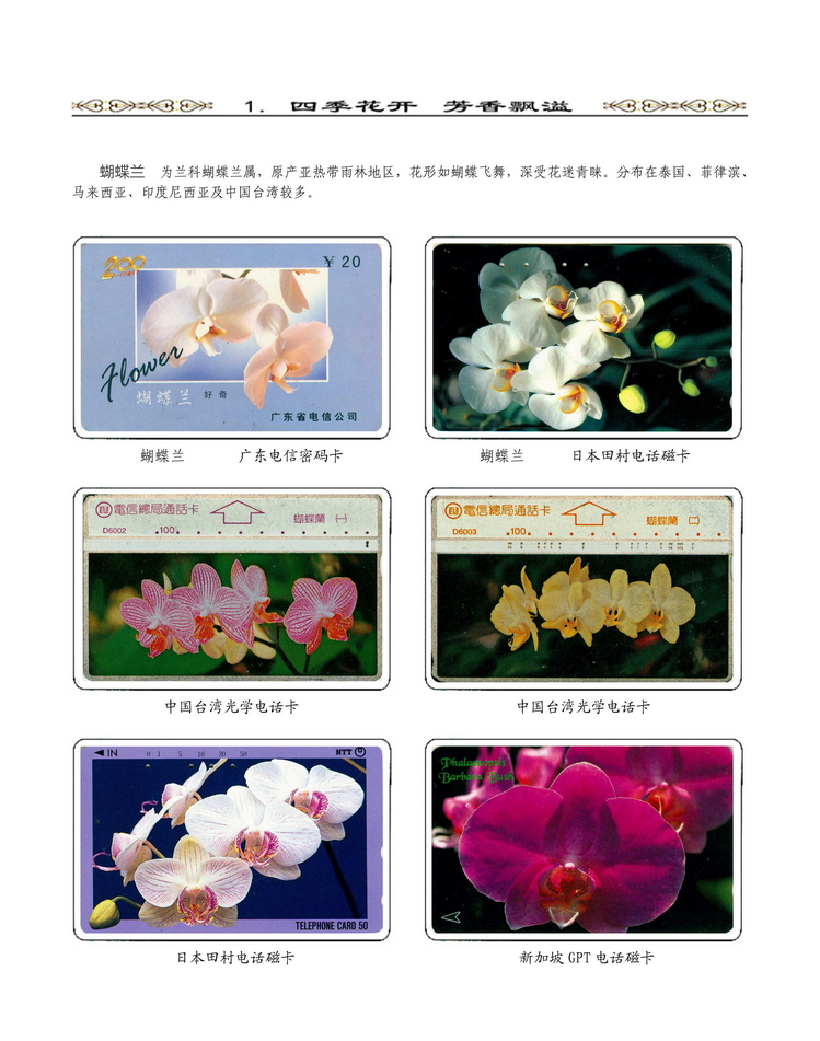 《说花》电信卡集王纯道遗作105.jpg