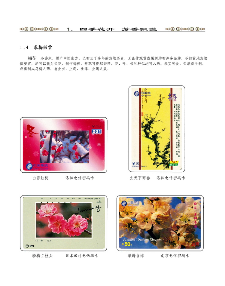 《说花》电信卡集王纯道遗作111.jpg