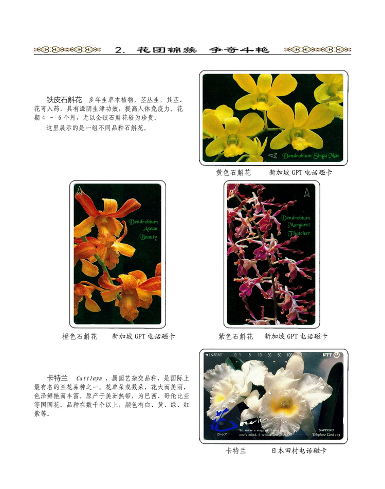 《说花》电信卡集王纯道遗作207.jpg