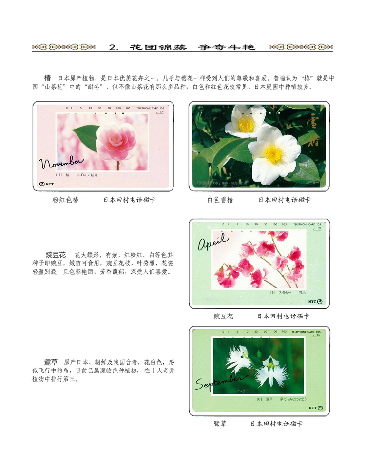 《说花》电信卡集王纯道遗作208.jpg