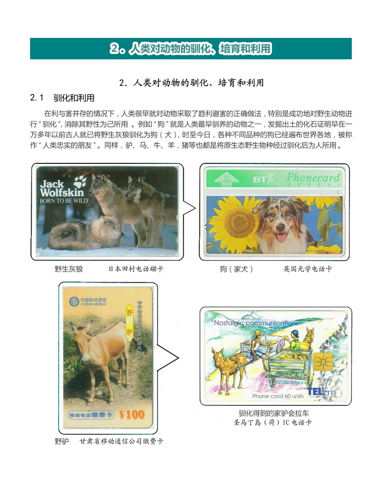 《人与动物》盛沁-107.jpg