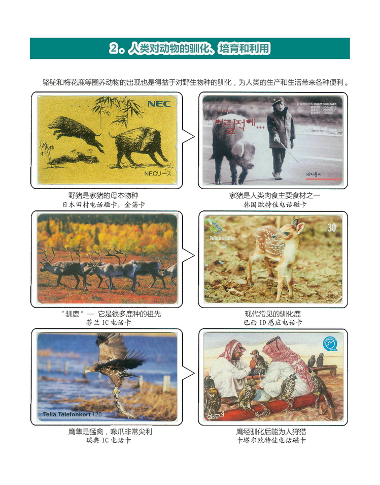 《人与动物》盛沁-108.jpg