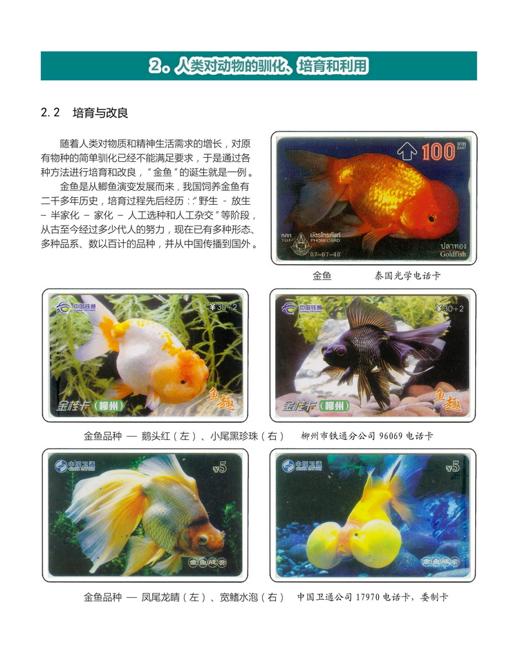 《人与动物》盛沁-109.jpg