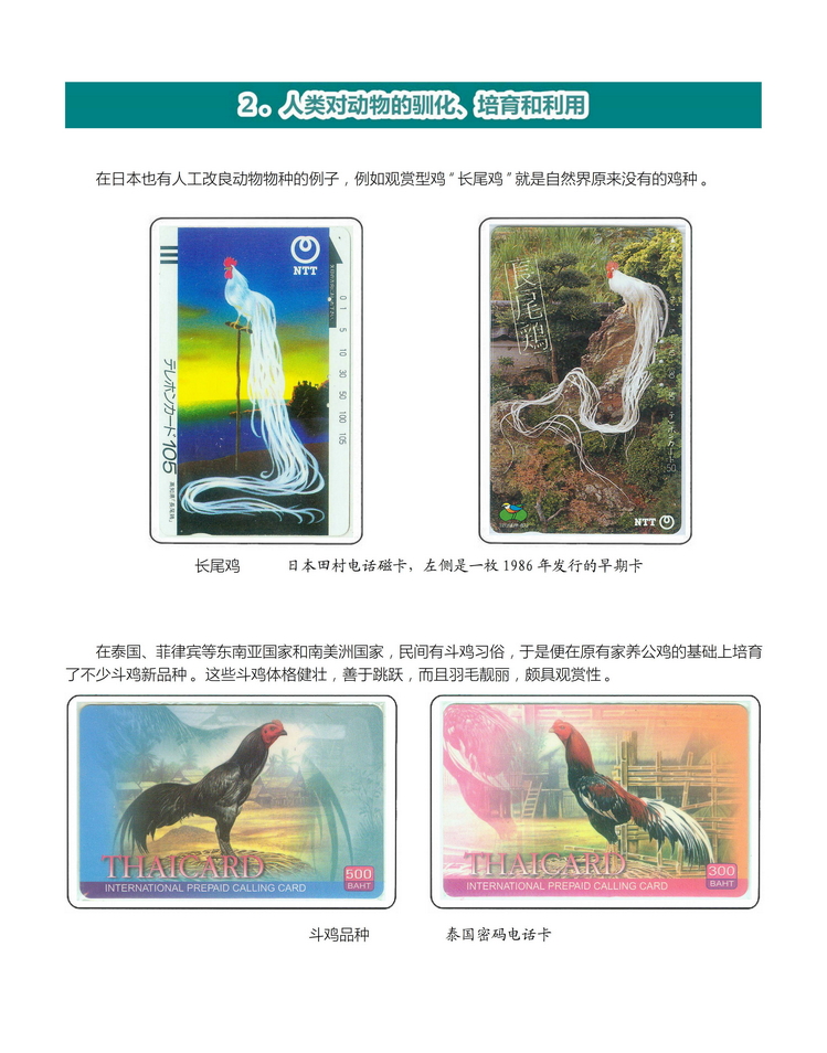 《人与动物》盛沁-110.jpg