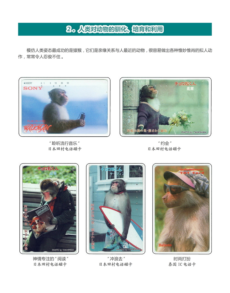 《人与动物》盛沁-112.jpg