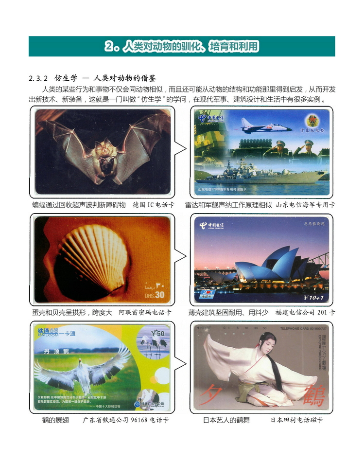 《人与动物》盛沁-113.jpg