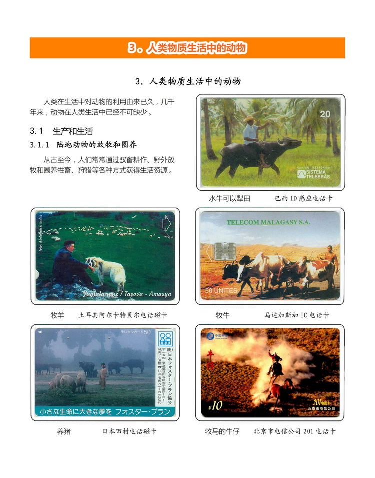 《人与动物》盛沁-201.jpg