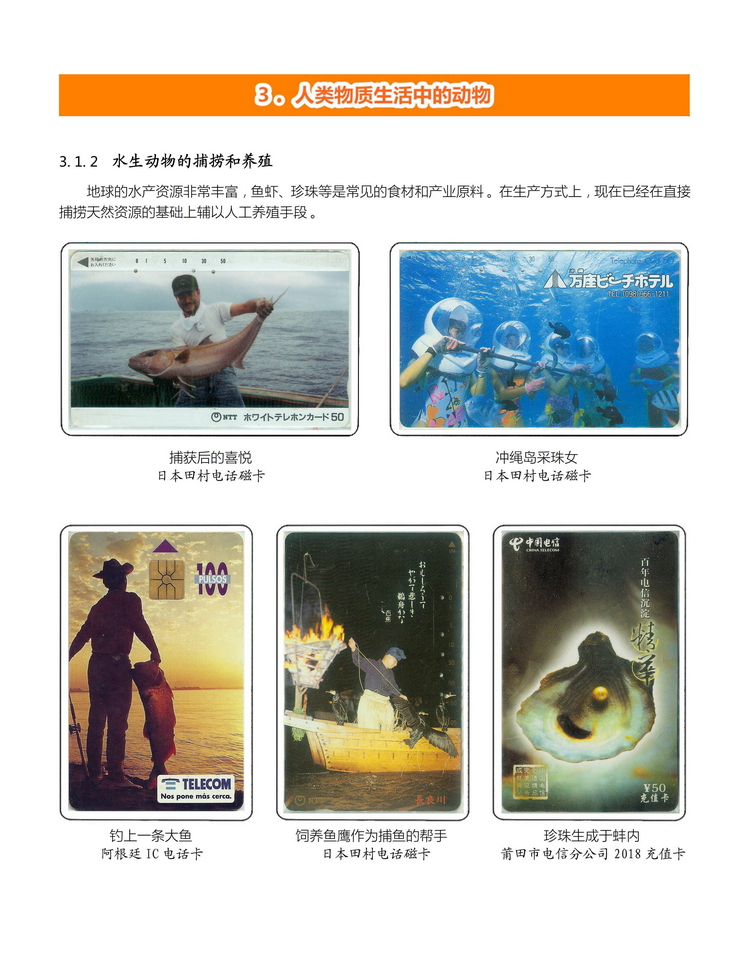 《人与动物》盛沁-202.jpg