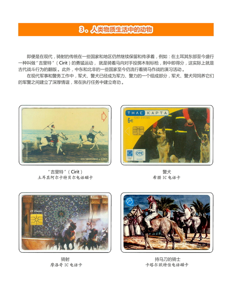 《人与动物》盛沁-204.jpg