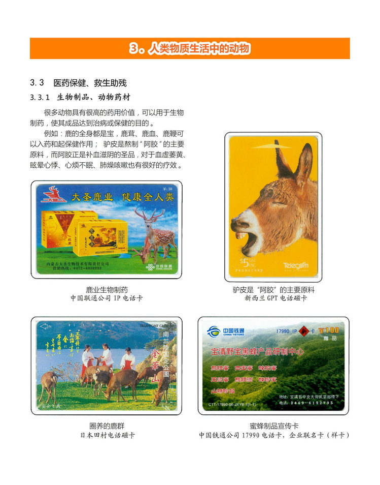 《人与动物》盛沁-206.jpg