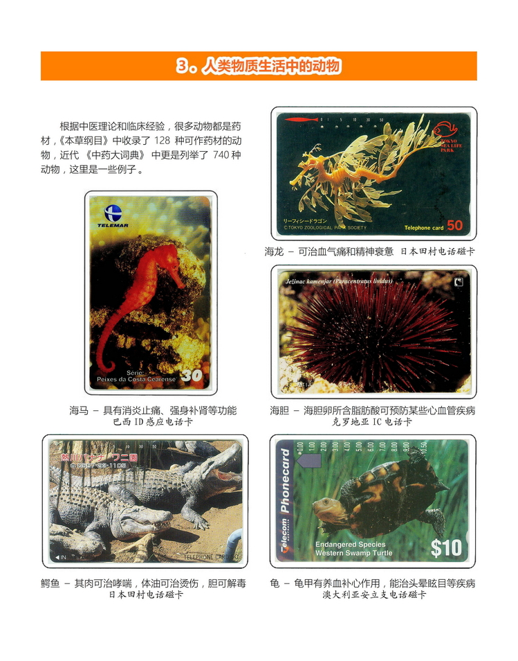 《人与动物》盛沁-207.jpg