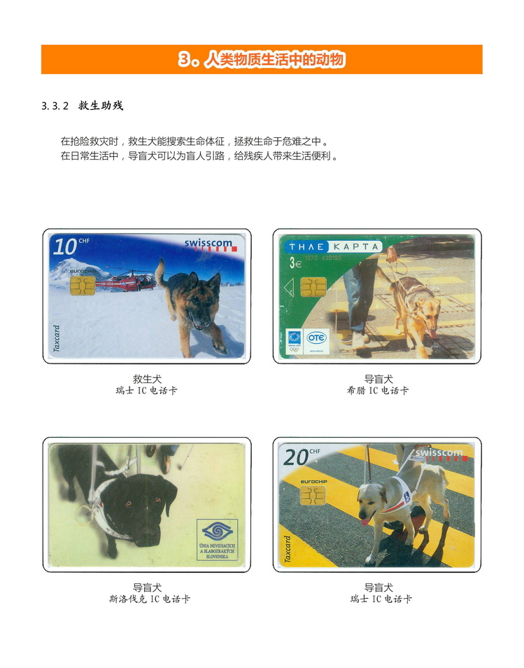 《人与动物》盛沁-208.jpg