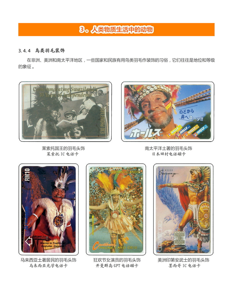 《人与动物》盛沁-212.jpg