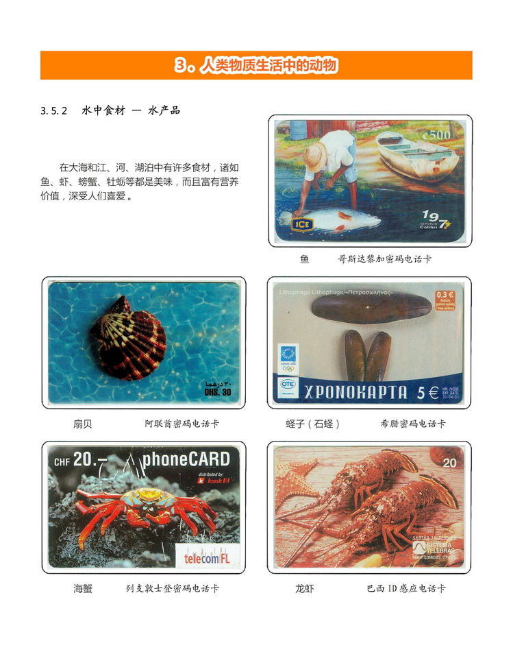 《人与动物》盛沁-214.jpg
