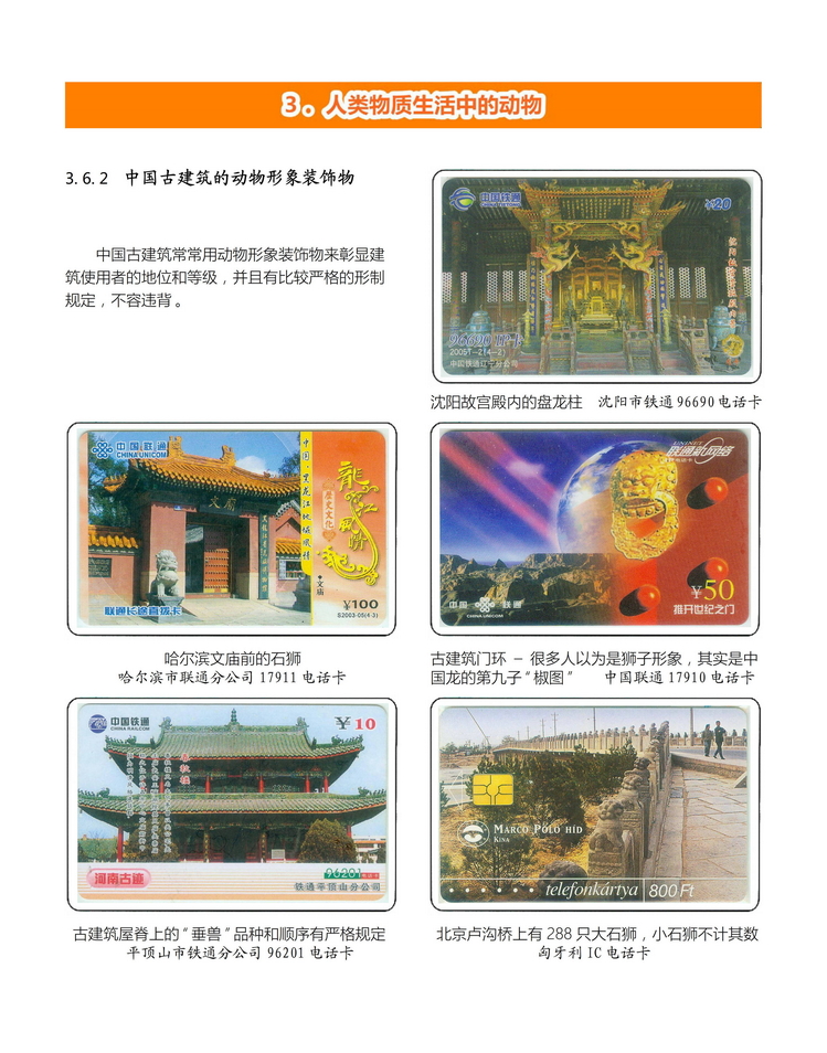 《人与动物》盛沁-302.jpg