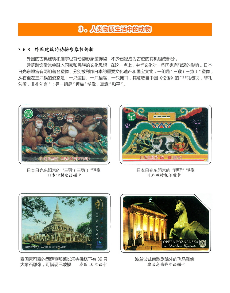 《人与动物》盛沁-303.jpg