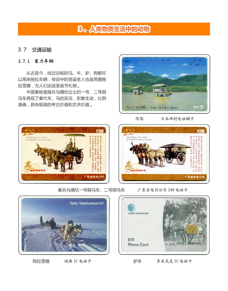 《人与动物》盛沁-304.jpg