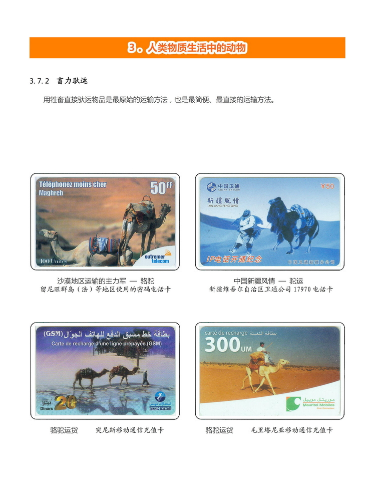 《人与动物》盛沁-305.jpg