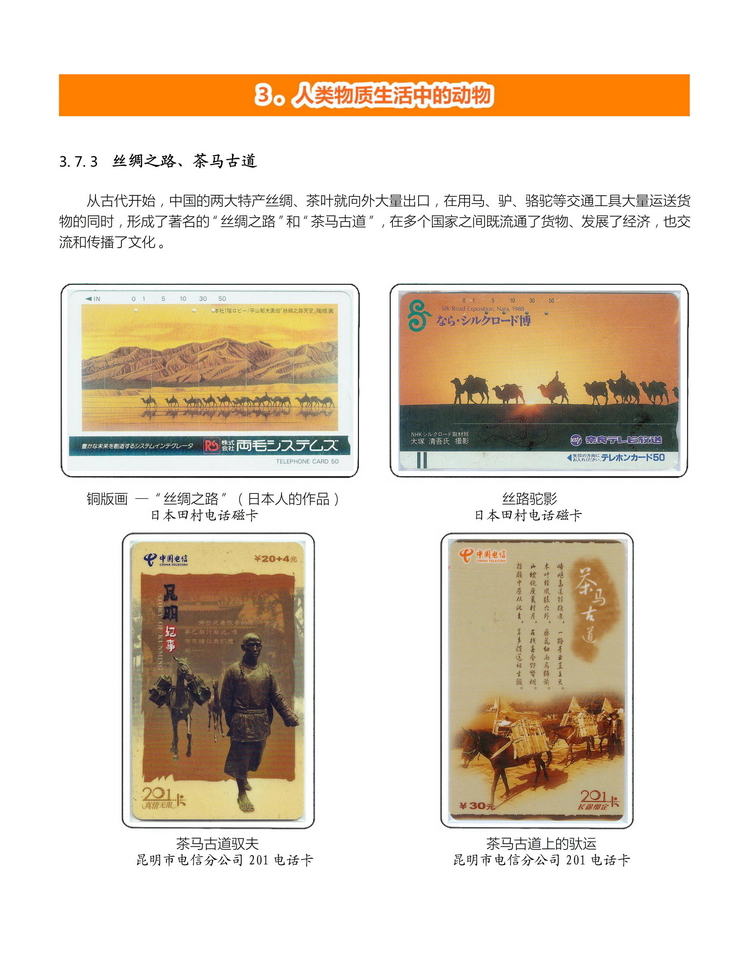 《人与动物》盛沁-306.jpg