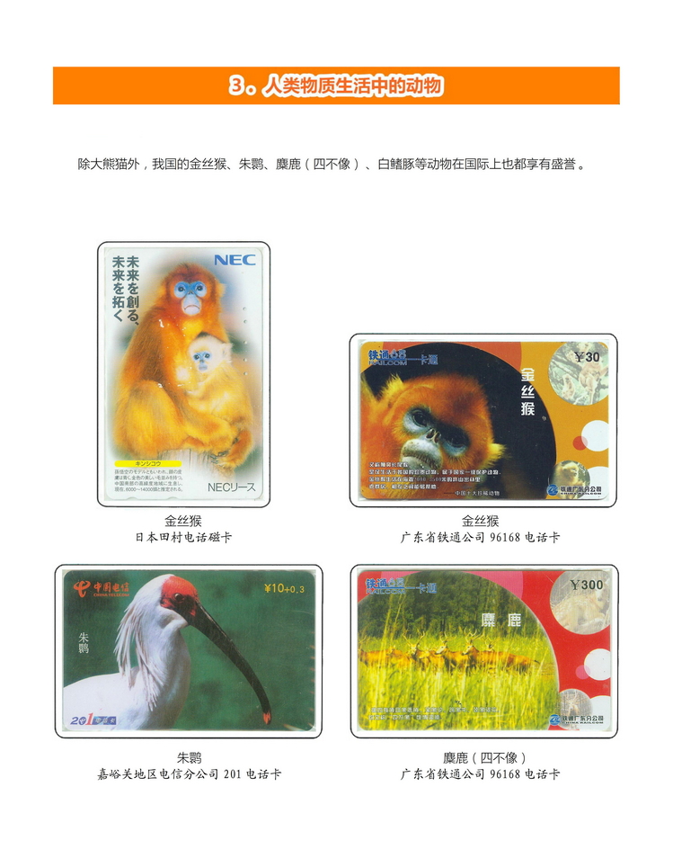 《人与动物》盛沁-308.jpg