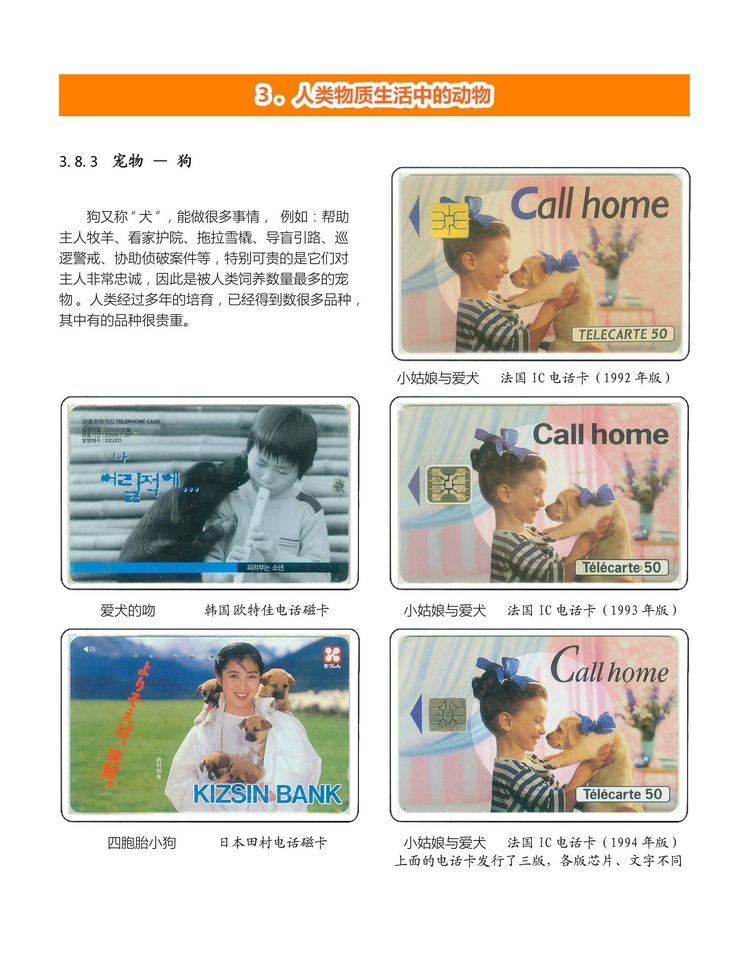 《人与动物》盛沁-311.jpg