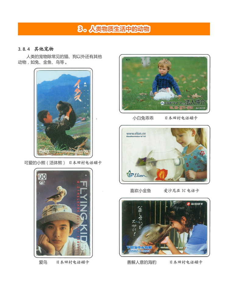 《人与动物》盛沁-313.jpg