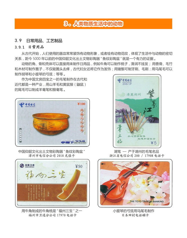《人与动物》盛沁-314.jpg