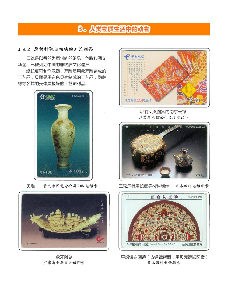 《人与动物》盛沁-315.jpg