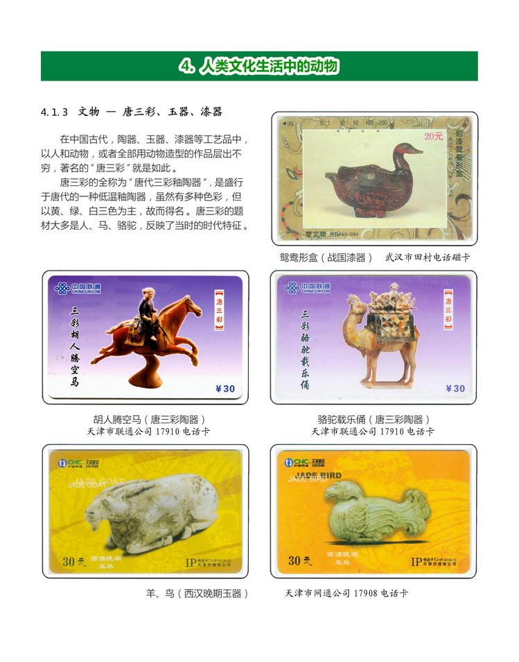 《人与动物》盛沁-403.jpg