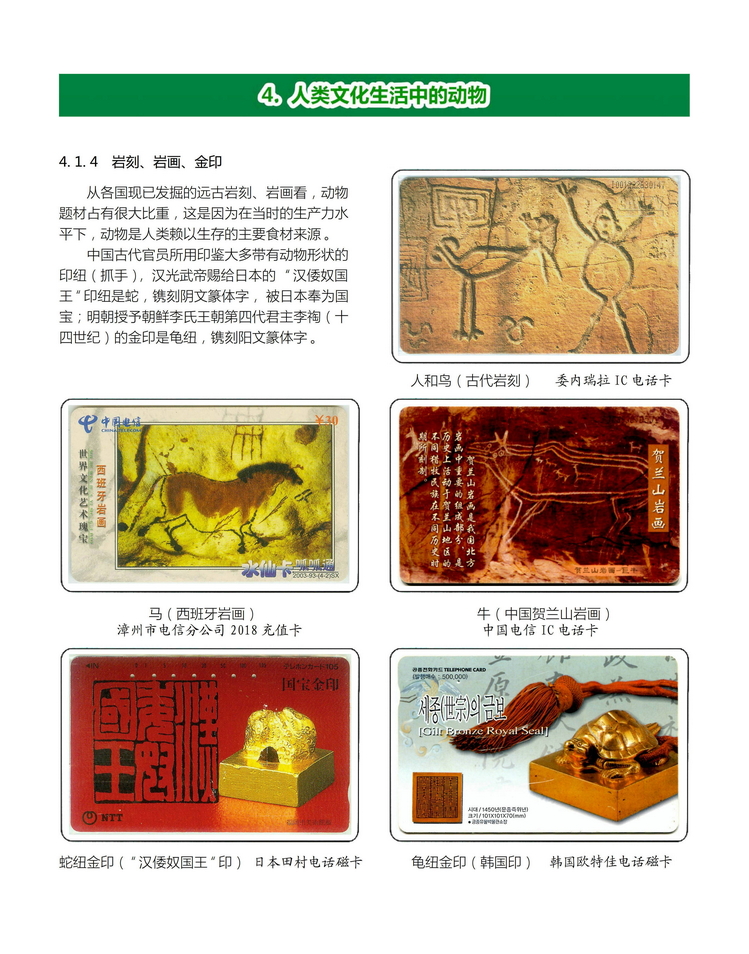 《人与动物》盛沁-404.jpg