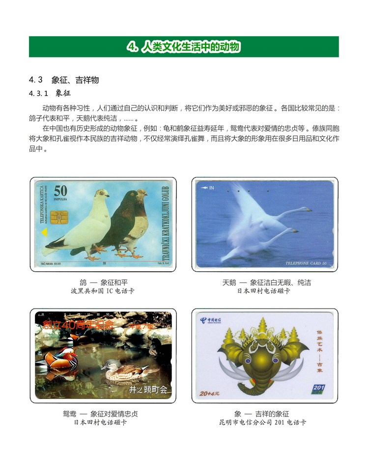 《人与动物》盛沁-407.jpg