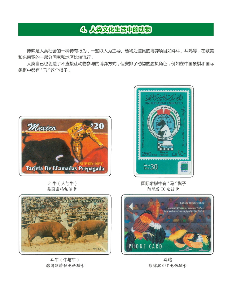 《人与动物》盛沁-412.jpg
