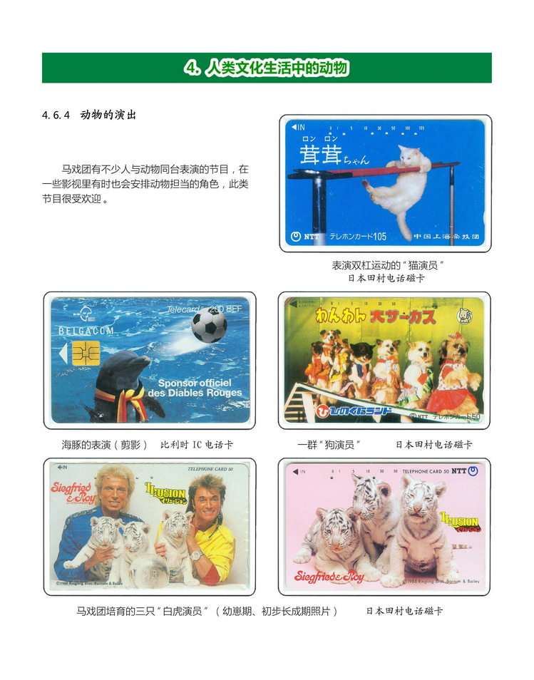 《人与动物》盛沁-416.jpg