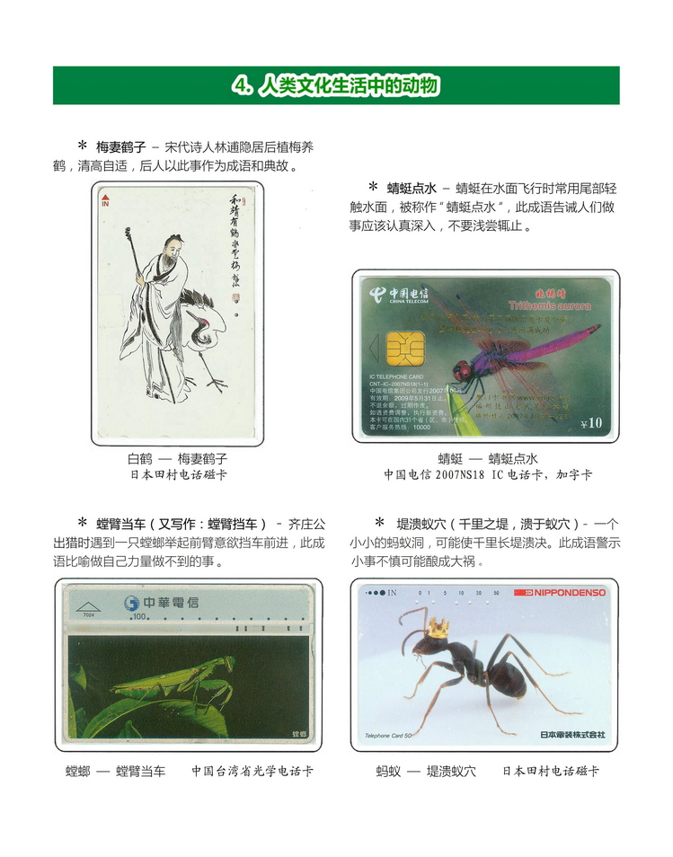 《人与动物》盛沁-502.jpg