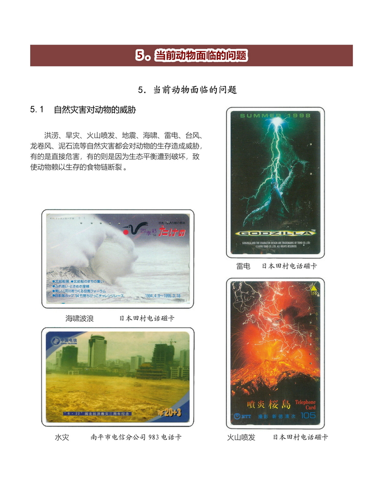 《人与动物》盛沁-511.jpg