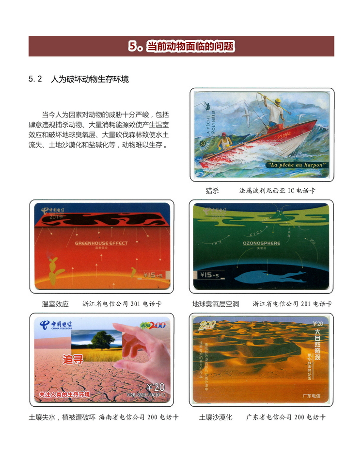 《人与动物》盛沁-512.jpg