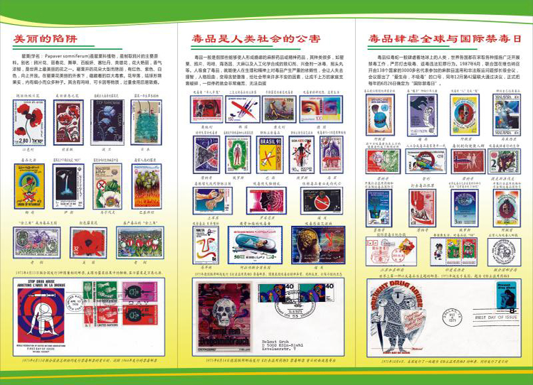 折页2.jpg