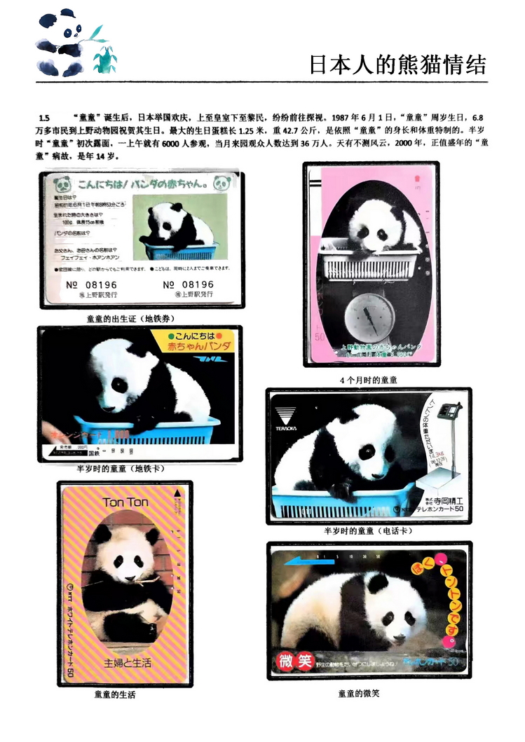 日本人的熊猫情结（郭念思）-05.jpg