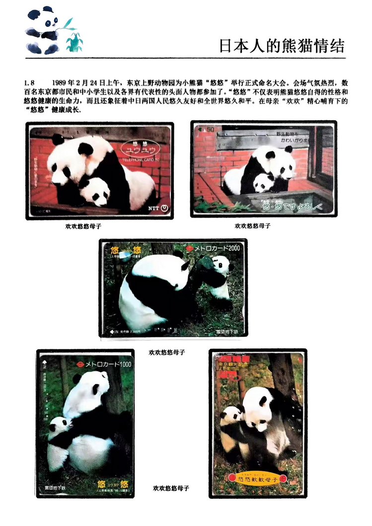 日本人的熊猫情结（郭念思）-08.jpg