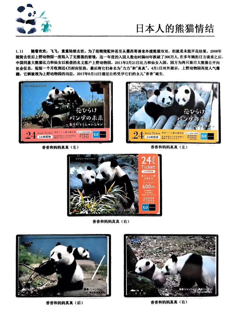 日本人的熊猫情结（郭念思）-11.jpg
