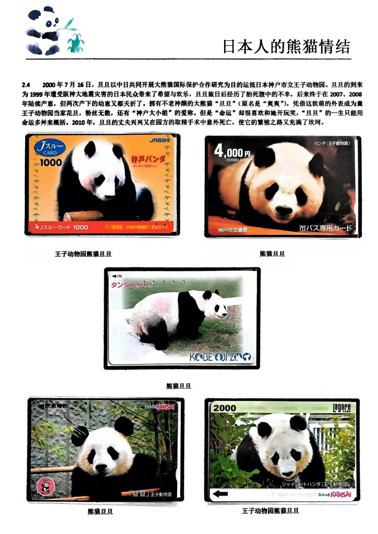 日本人的熊猫情结（郭念思）-20.jpg