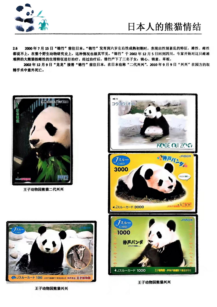 日本人的熊猫情结（郭念思）-22.jpg