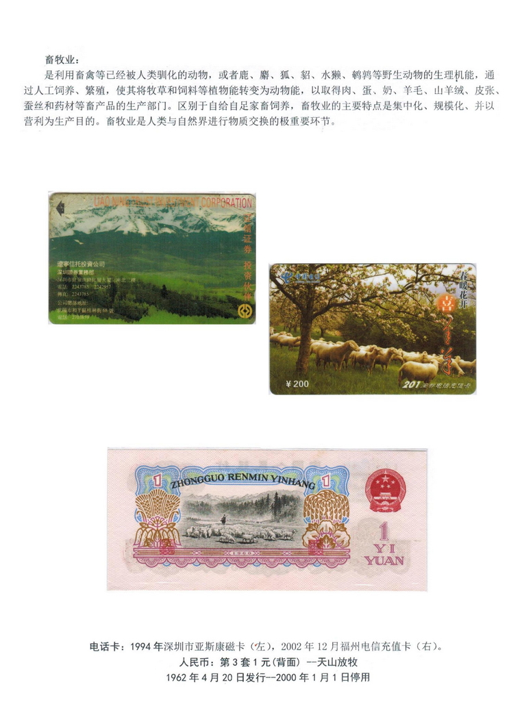 卡币的和谐（杨禾馨）_5.jpg