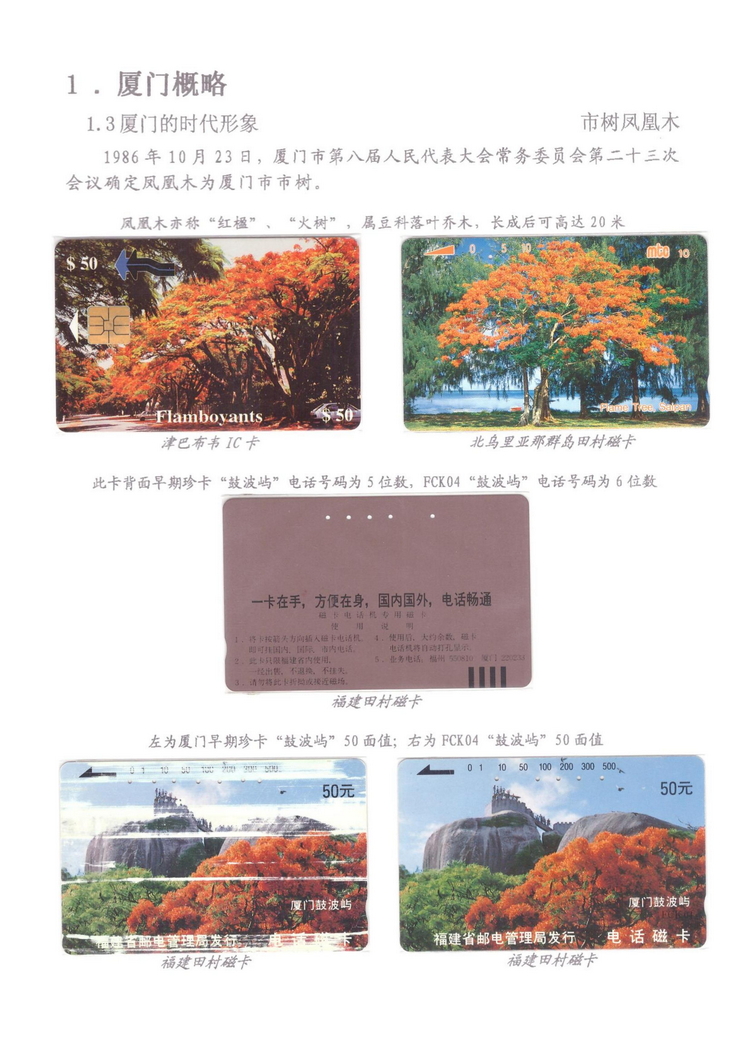 魅力鹭岛（陈杨凯）_109.jpg