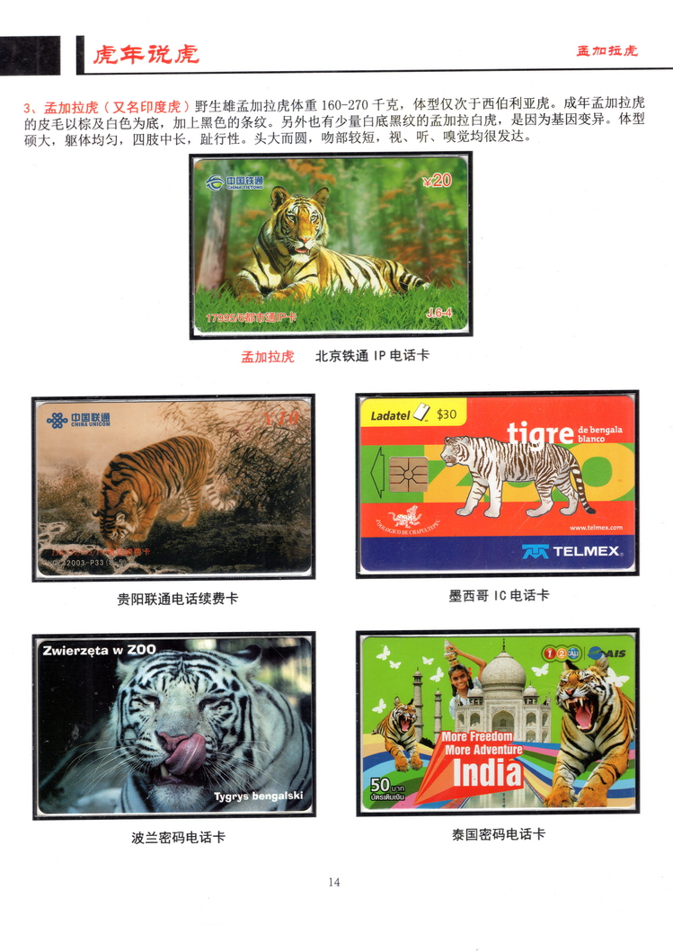 虎年说虎-方政-14.jpg