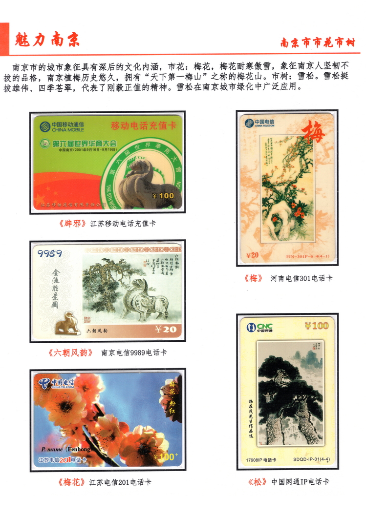 魅力南京-202.jpg