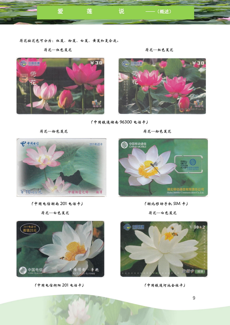 爱莲说-南京吕辉-110.jpg