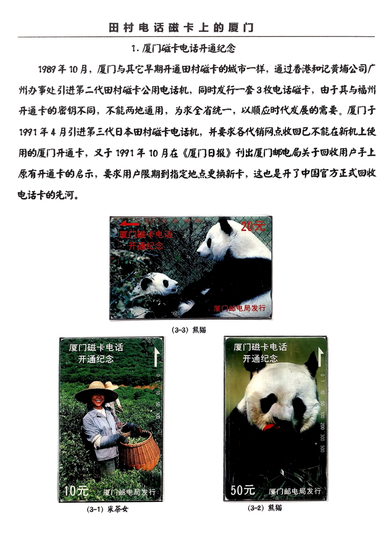 田村卡上的厦门-万培育-02.jpg
