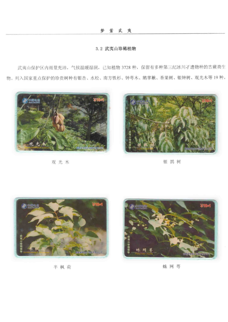 《梦萦武夷》陶峰-302.jpg