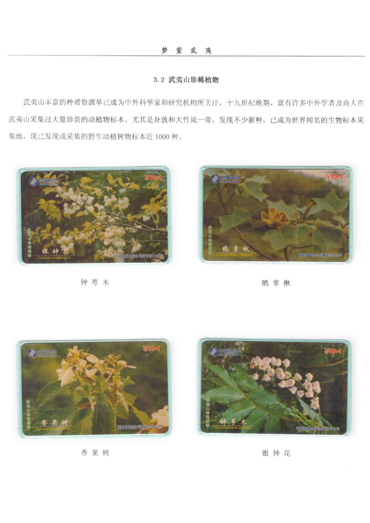 《梦萦武夷》陶峰-303.jpg